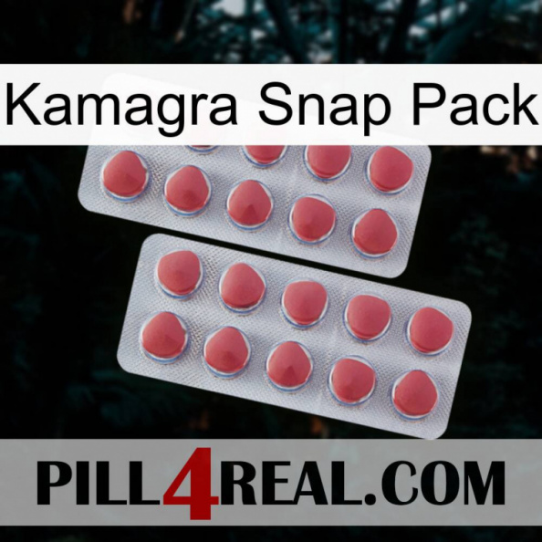 Kamagra Snap Pack 19.jpg